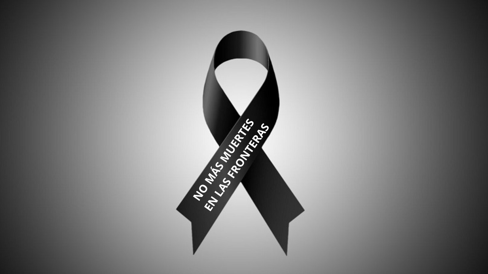 no mas muertes