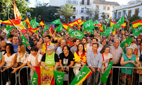 VOTANTES DE VOX