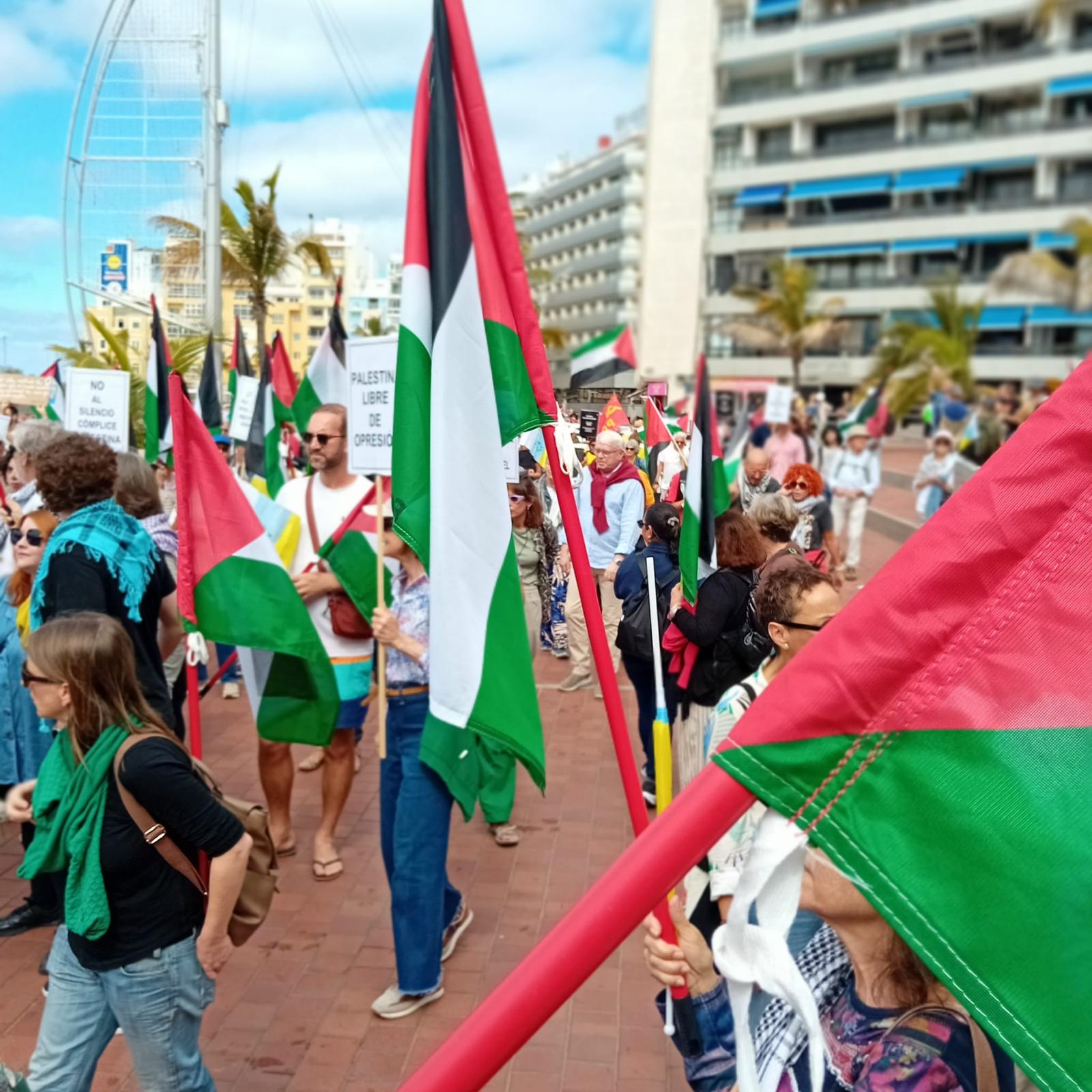 PALESTINA LPGC FEBRERO 2025