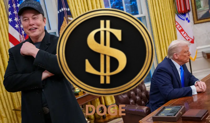 DOGE MUSK