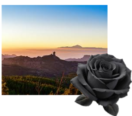 GRAN CANARIA TENERIFE