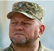 VALERY ZALUZHNY