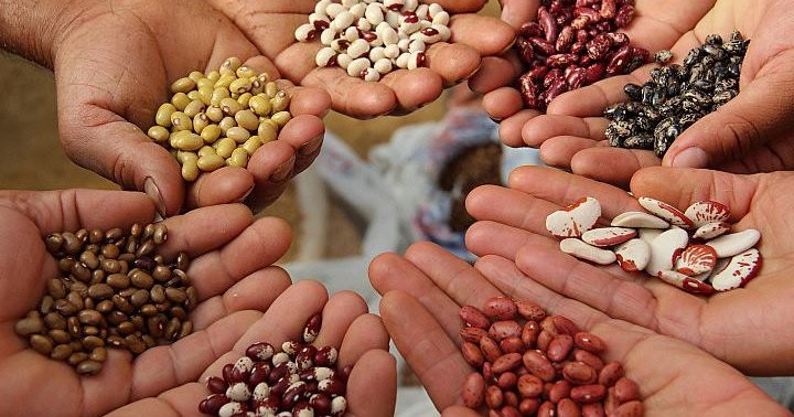 El derecho a la alimentación es un derecho humano esencial. Foto CADTM