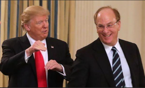 BlackTrump sirve a BlackStates
