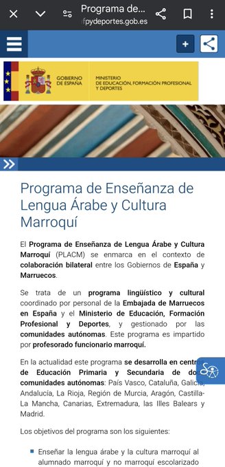 programa lengua árabe