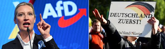 AfD ALEMANIA PRIMERO