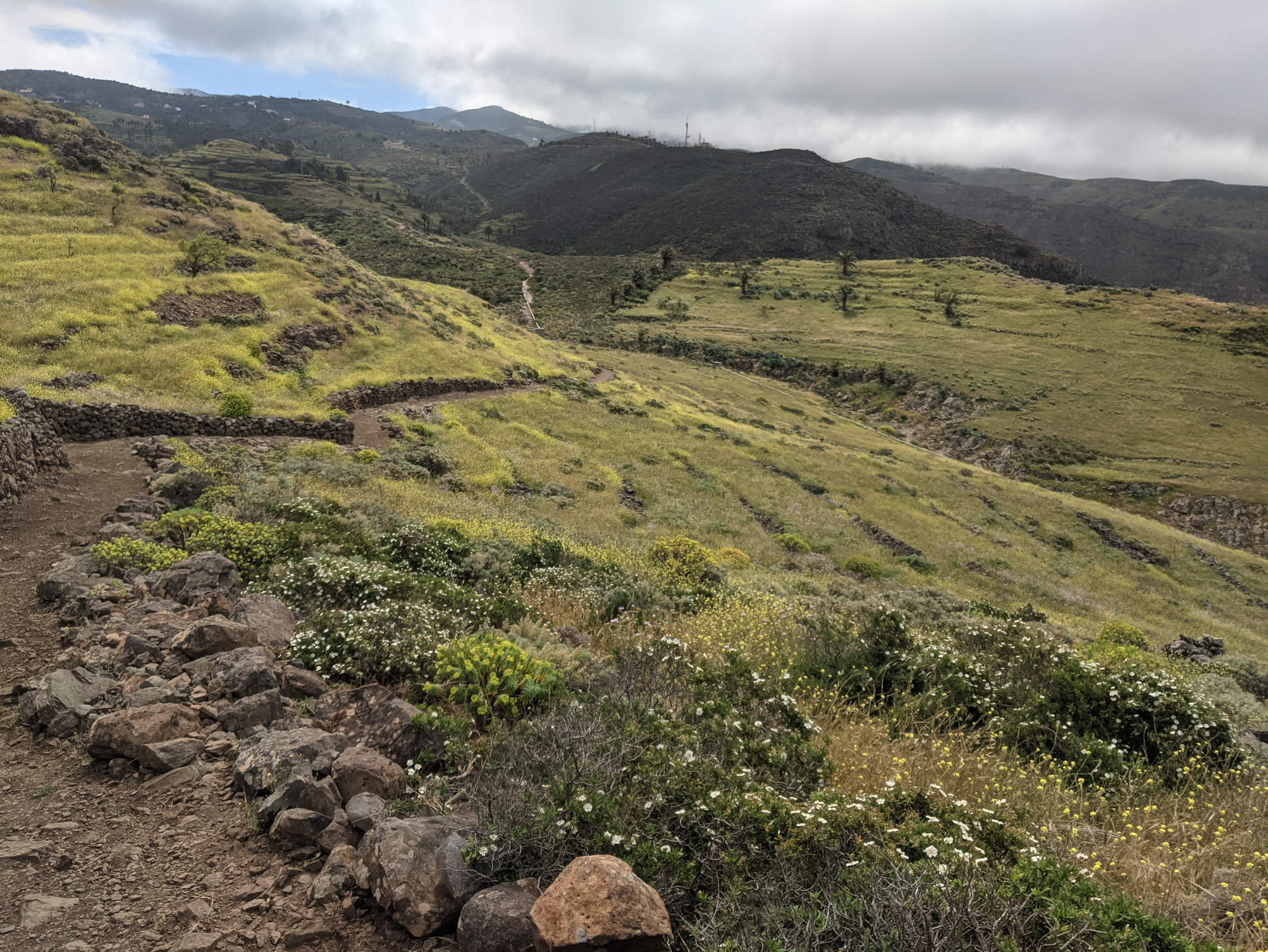 CANARIAS, UN TERRITORIO ABANDONADO, LA GOMERA 2025 POR FEDERICO AGUILERA KLINK
