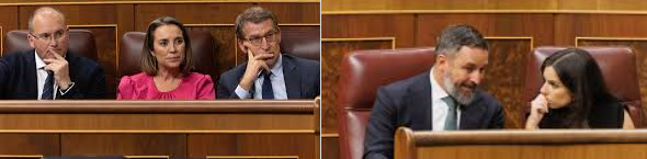 TELLADO, GAMARRA, FEIJÓO, ABASCAL, MILLÁN. OBJETIVO PARLAMENTARIO, TUMBAR A SÁNCHEZ