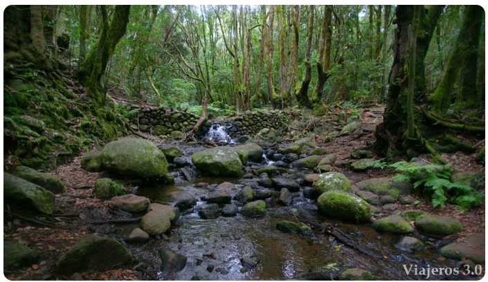 BARRANCO EL CEDRO - VIAJEROS 3.0