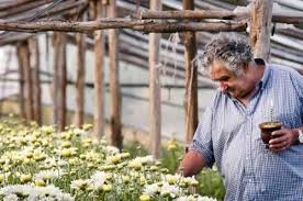 PEPE MUJICA