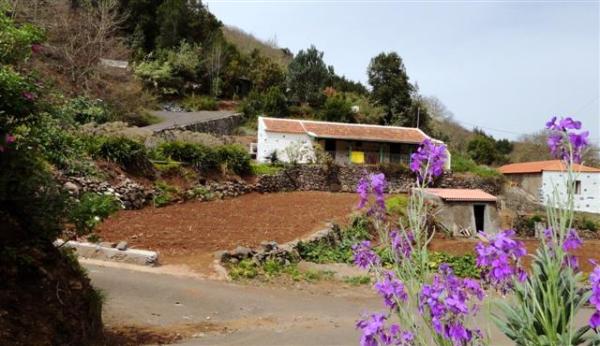 CAMINO LOS ACEVIÑOS - eltambor.es