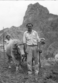 CAMPESINO GOMERO- Luis Manuel Jerez Darias