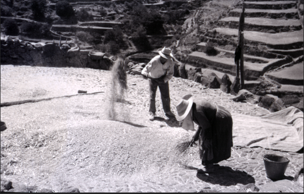AVENTANDO GRANO EN LA GOMERA - GUNTER KÜNKEL, 1960