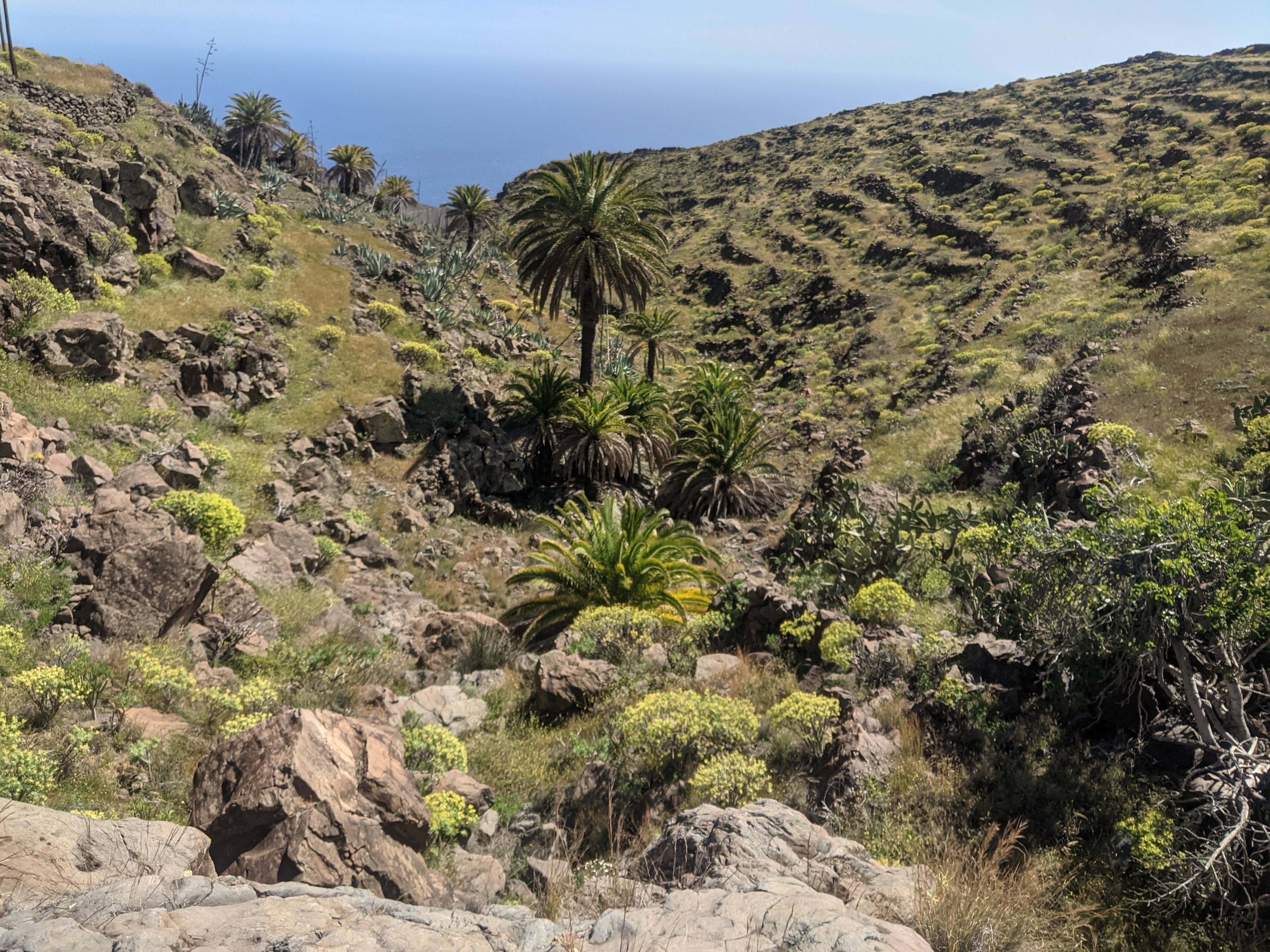 LA GOMERA, FEDERICO AGUILERA KLINK, 2025