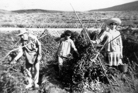 GOMEROS EN TENERIFE - GOMERA VERDE