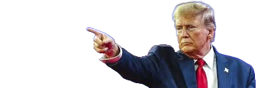 TRUMP PERFIL