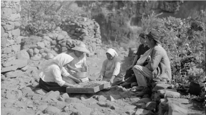 LA GOMERA FAMILIA CAMPESINA 1930  - CANARIAS AHORA