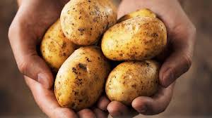 PAPAS2