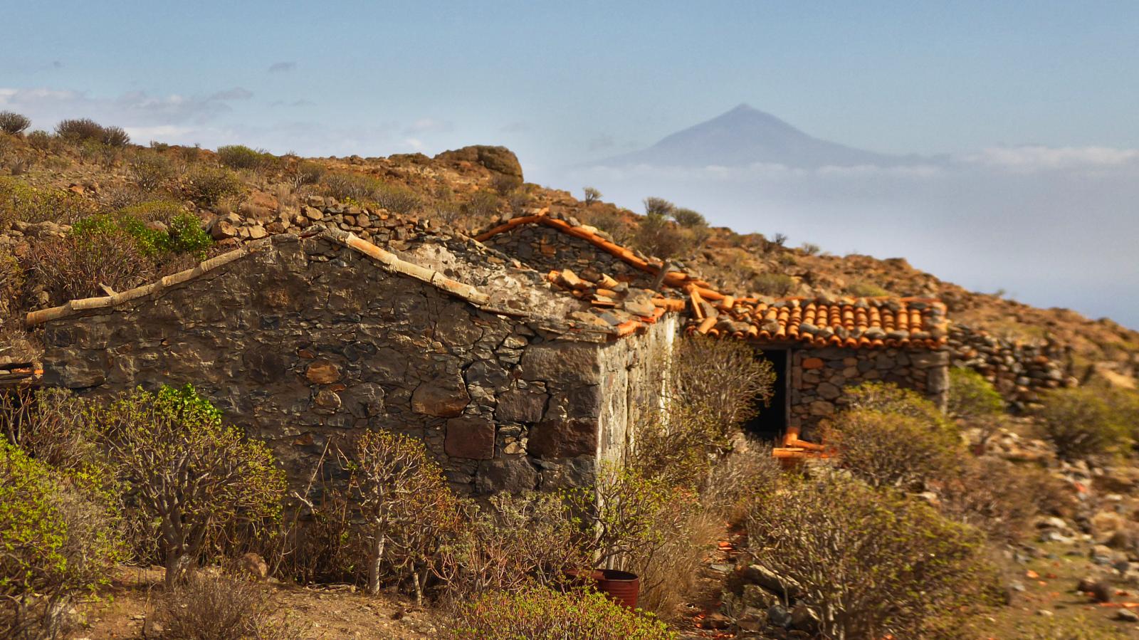 TEJAS EN LA GOMERA - NACHO1951 WIKILOC