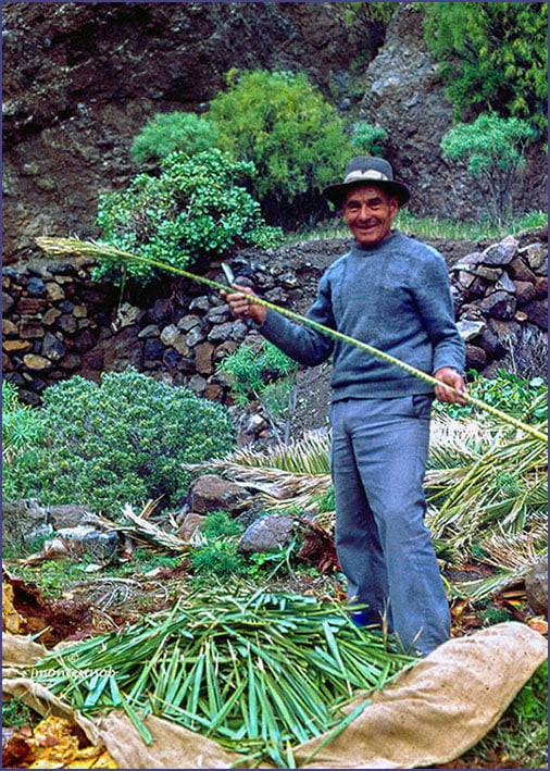 DON TASO CON UN PIRGUAN - LA GOMERA, SU PAISAJE Y SU GENTE EN FACEBOOK