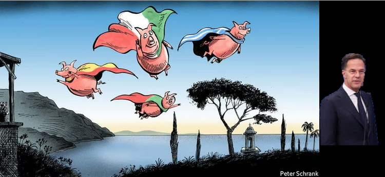 RUTTE Y LOS PIGS