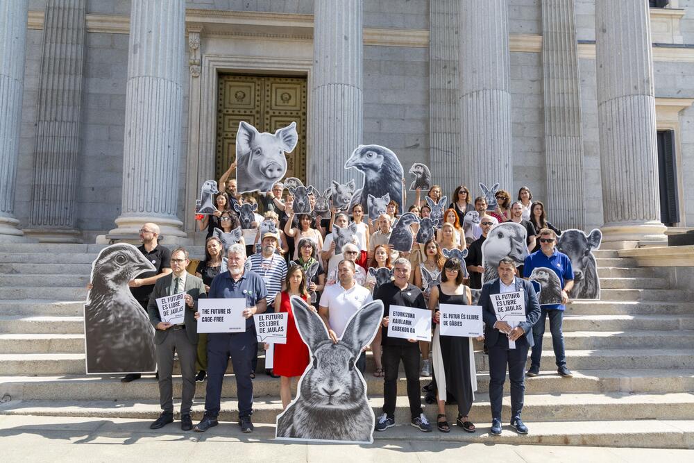 MALTRATO ANIMAL Acto frente al Congreso la mañana del 25 de junio de 2025. José Félix Cueva Medina