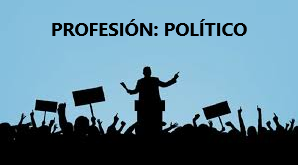 POLÍTICA PROFESIONAL