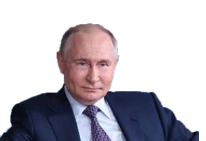 PUTIN PERFIL