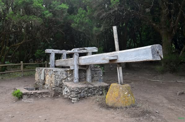 LAGAR EN LA LAGUNA GRANDE - Andrés Raya Ramos