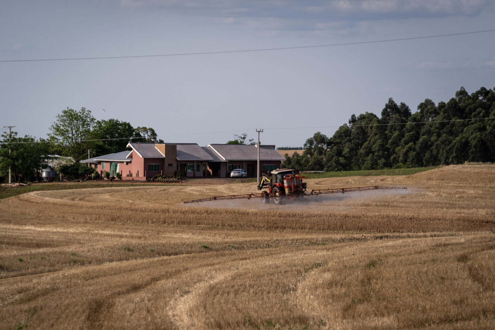 Pérola d'Oeste - Paraná - Brasil. 
Foto©Marcelo Curia