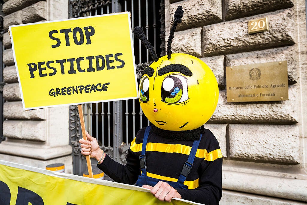 Protesta de Greenpeace ante un tribunal suizo para exigir que se pronuncie a favor de la biodiversidad  y contra el uso de un tipo de pesticida producido por la multinacional Syngenta. Foto Greenpeace