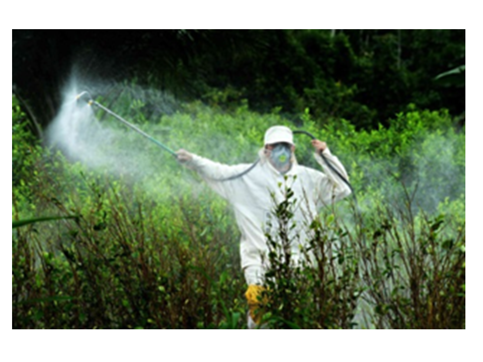 FUMIGACIÓN CON GLIFOSATO