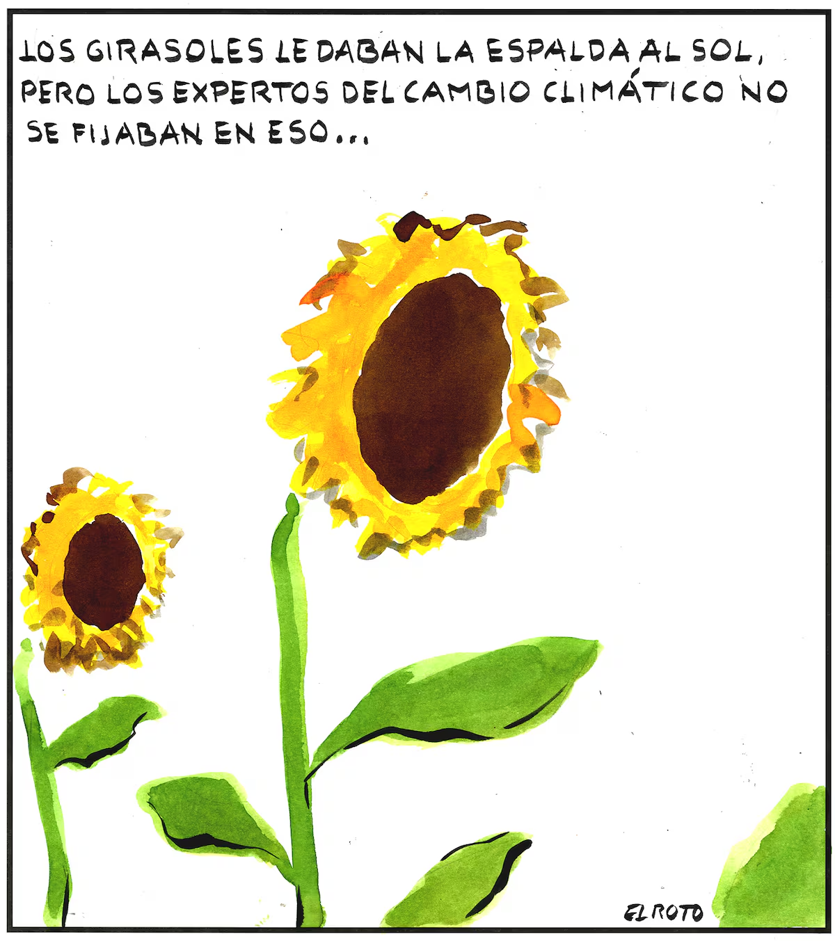 EL ROTO