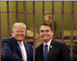 TRUMP BOLSO
NARO