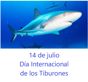 TIBURONES