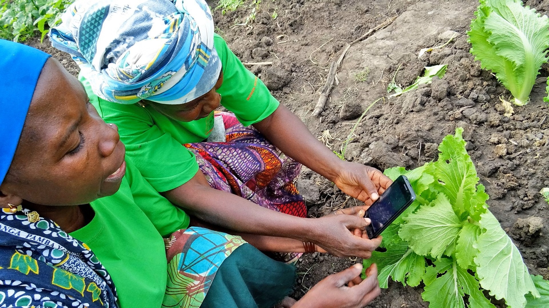 Agricultoras de Tanzania utilizan tecnologías simples para evaluar el crecimiento de productos locales. Foto SWISSAID