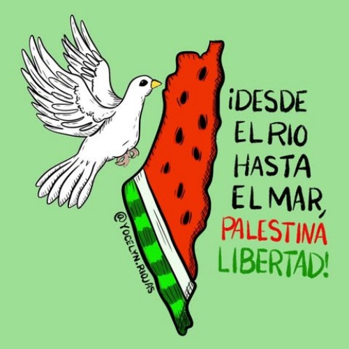 PALESTINA @yocelyn_riojas