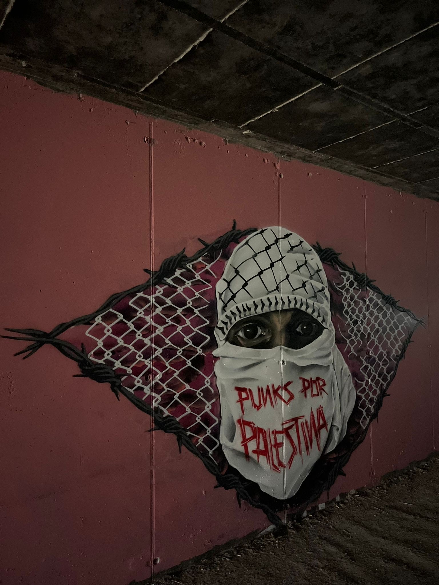 PALESTINA CANARIAS JULIO 2025