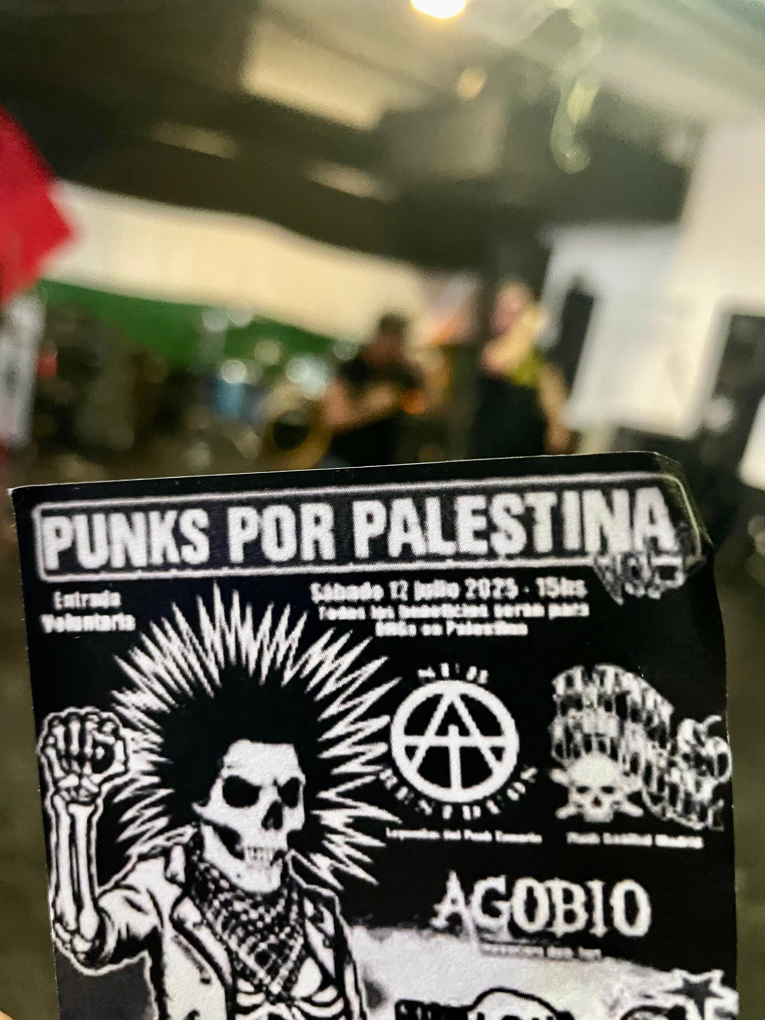PALESTINA CNARIAS JULIO 2025