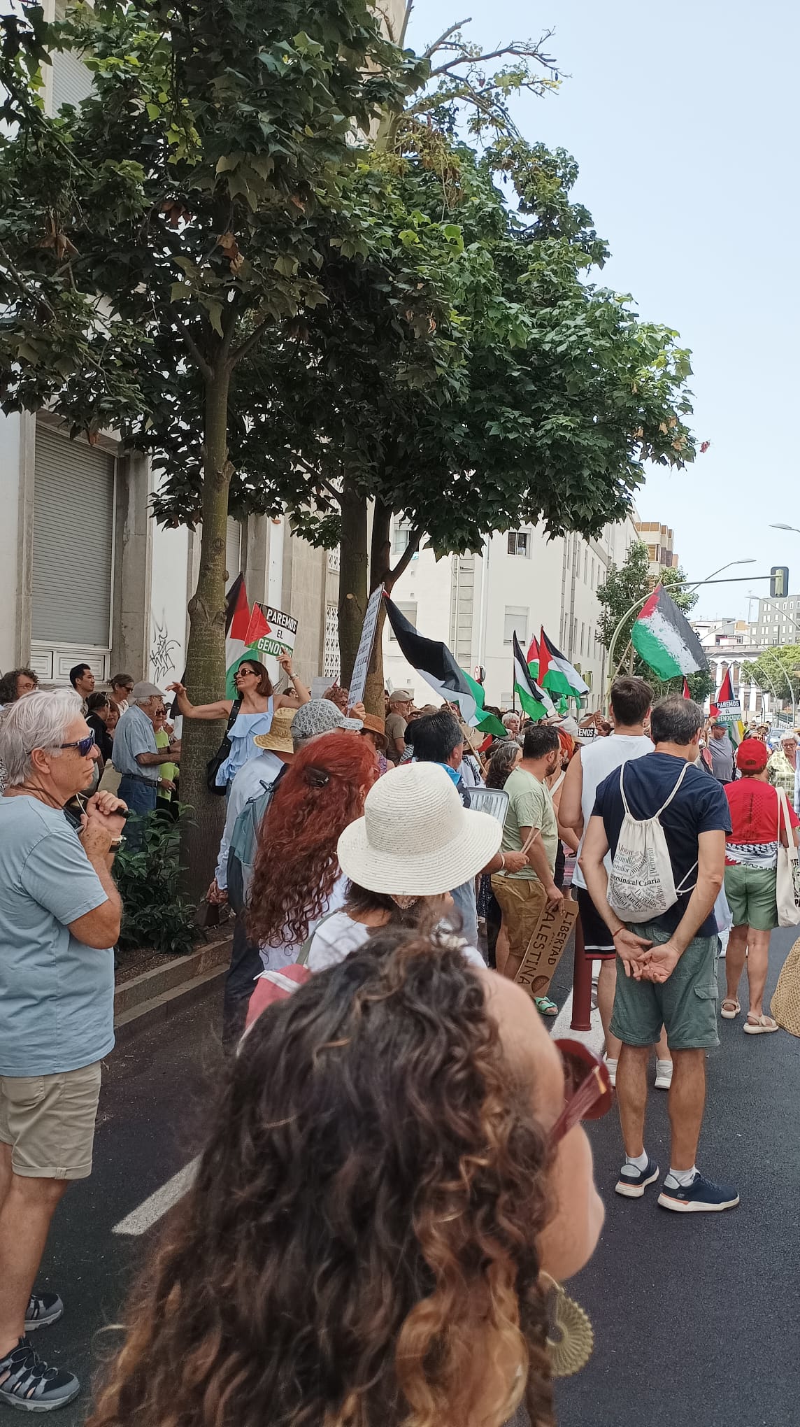 CANARIAS PALESTINA TFE AGOSTO 2025