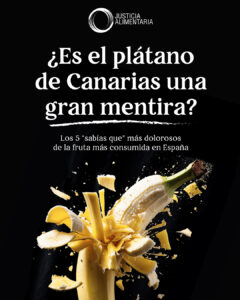INFOGRAFIA_PLATANO_CANARIAS3-01-240x300