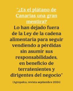 INFOGRAFIA_PLATANO_CANARIAS3-06-240x300