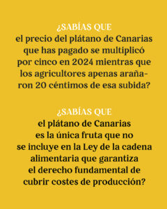 INFOGRAFIA_PLATANO_CANARIAS3-04-240x300