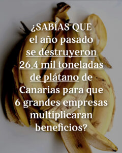 INFOGRAFIA_PLATANO_CANARIAS3-02-240x300
