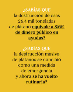 INFOGRAFIA_PLATANO_CANARIAS3-03-240x300