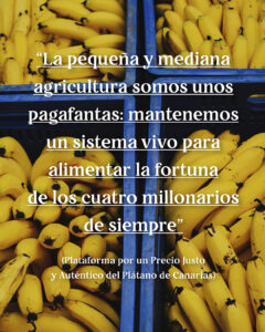INFOGRAFIA_PLATANO_CANARIAS3-05-240x300