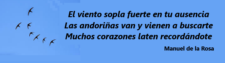 Sin título