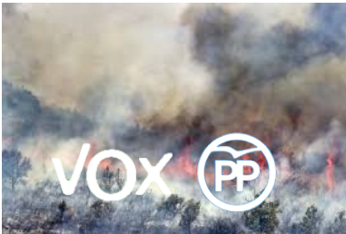 VOX PP