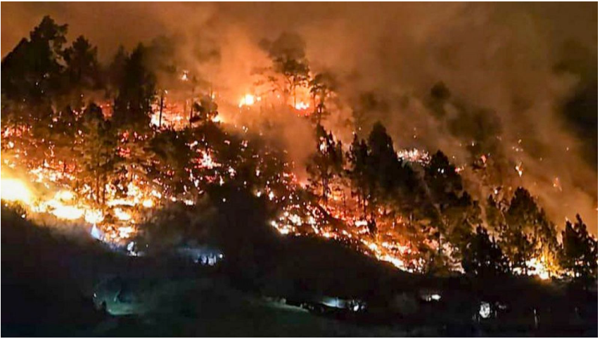 INCENDIO EN EL PASO, LA PALMA, 2024 IMAGEN DE 112
