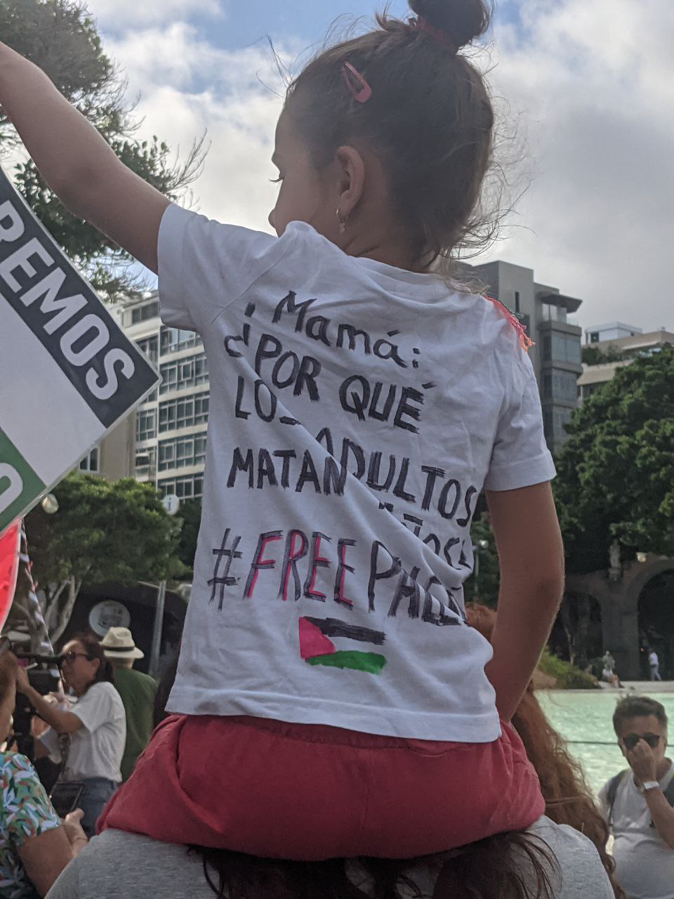 PALESTINA SCTF 31 08 2025